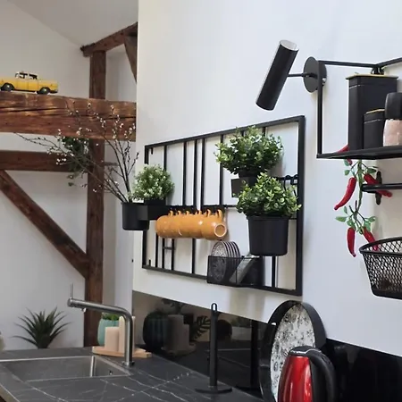 Funky Stylish Penthouse * 卢布尔雅那