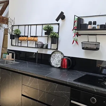 Funky Stylish Penthouse Apartmán Lublaň