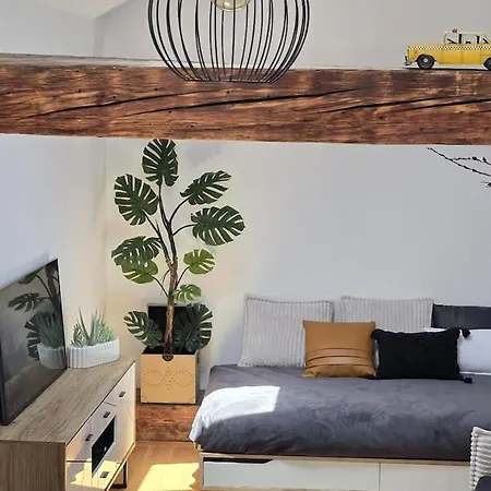 Funky Stylish Penthouse Liubliana