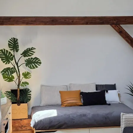 Funky Stylish Penthouse * Liubliana